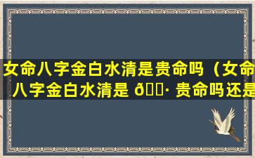 女命八字金白水清是贵命吗（女命八字金白水清是 🌷 贵命吗还是贵命）